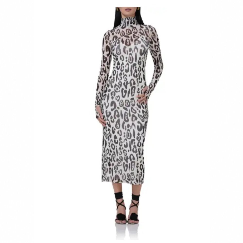Turtleneck Long Sleeve Mesh Dress